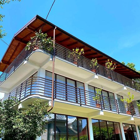Casa Ionut Hotel Borsa  Exterior photo