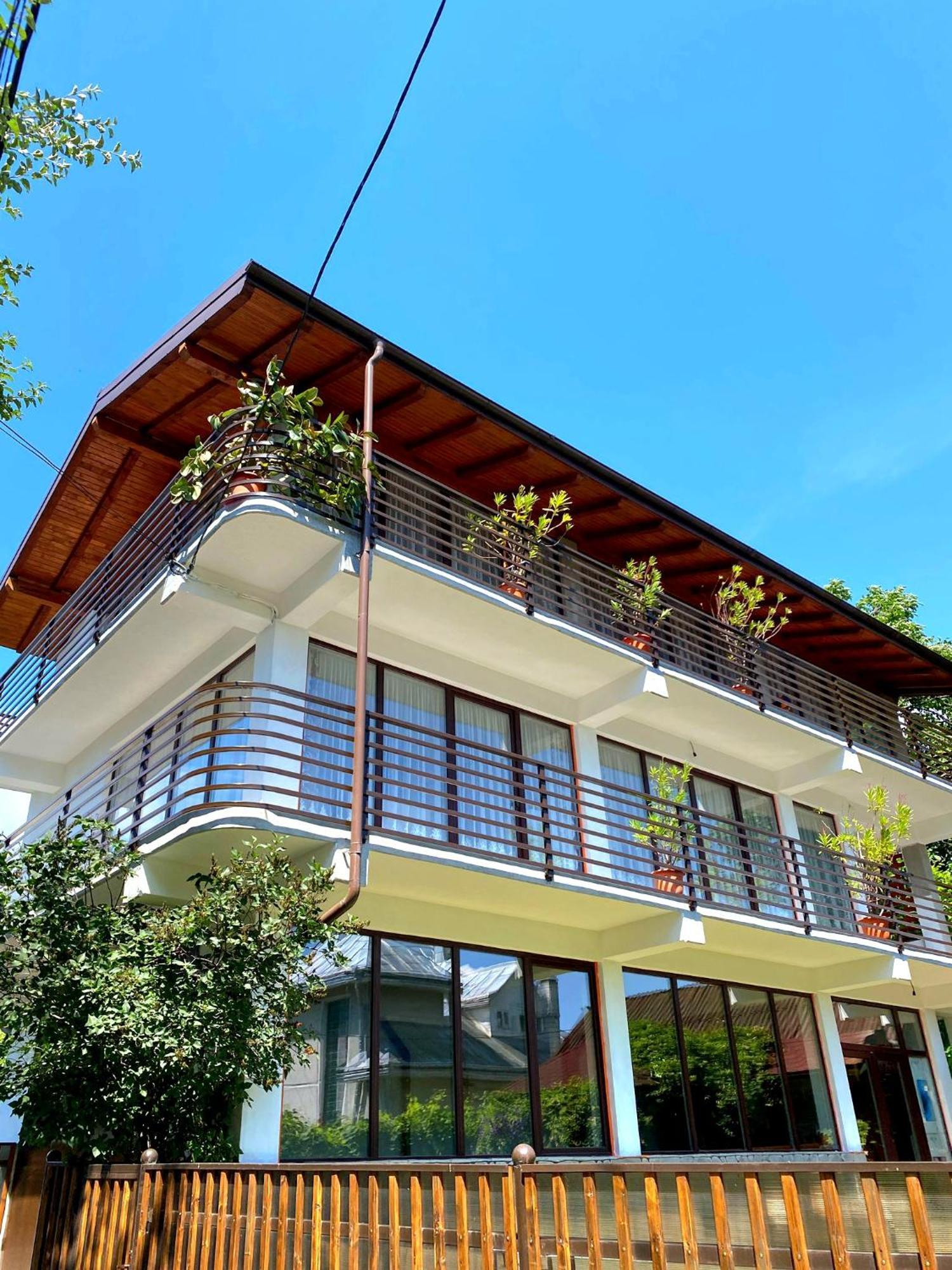 Casa Ionut Hotel Borsa  Exterior photo