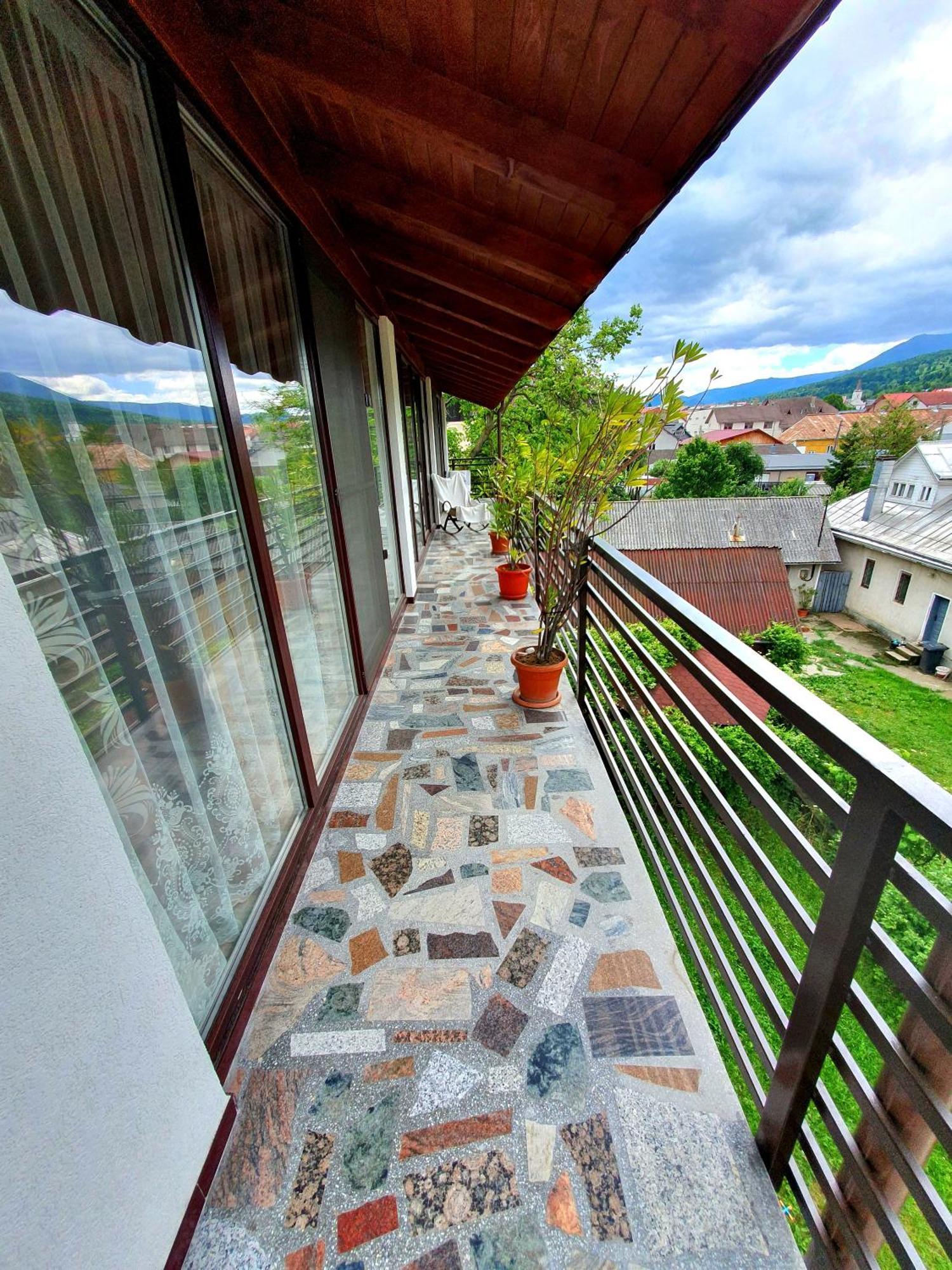 Casa Ionut Hotel Borsa  Exterior photo